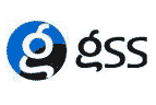 Gss Partners