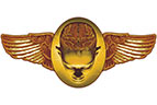 Rapid Mind Power