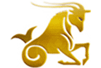 Capricorn Solutions
