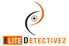 Elite Detectivez