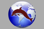 Idea Packers and Movers
